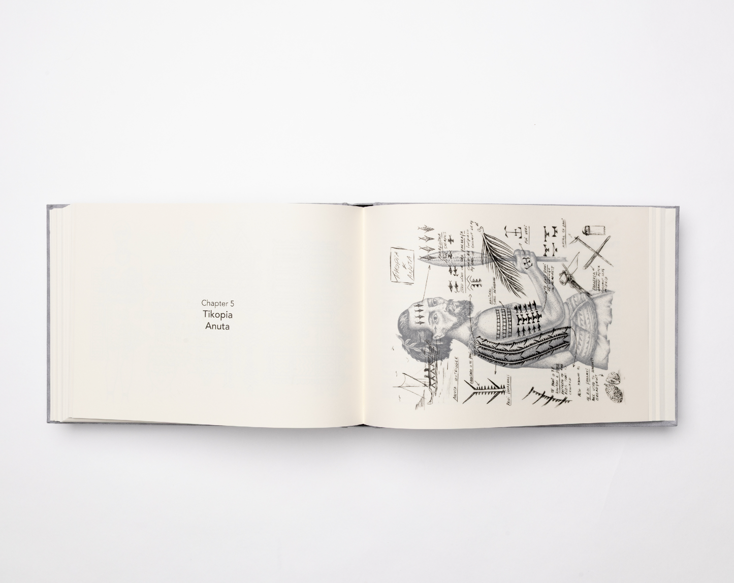 Fingerprints of the Pacific