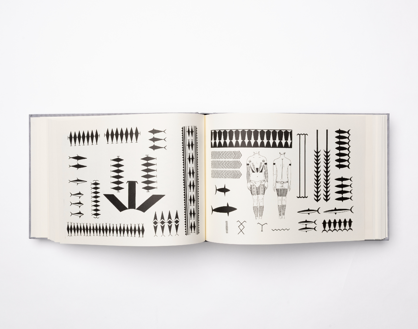 Fingerprints of the Pacific