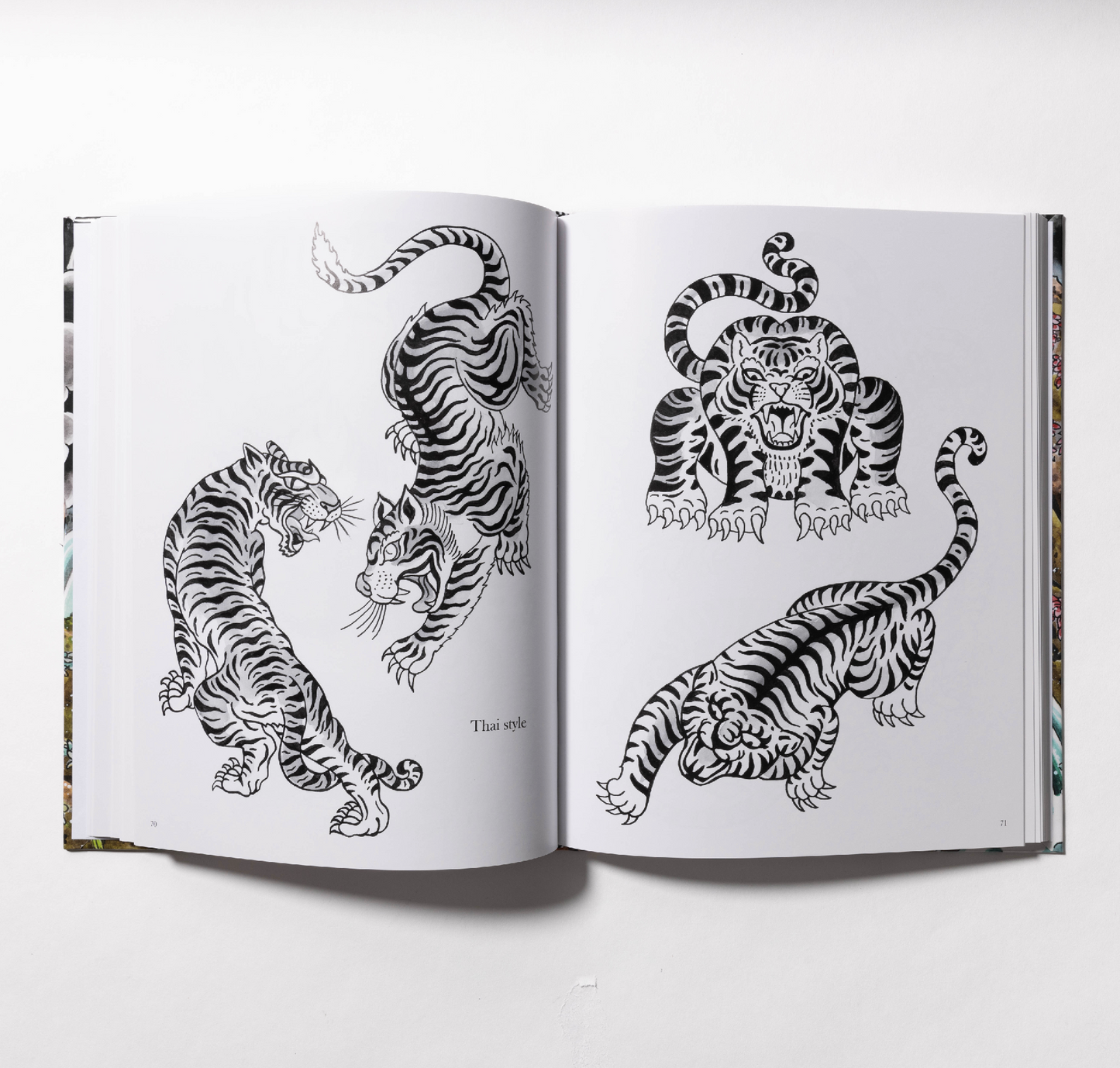 The Tiger Book by Tim Lehi