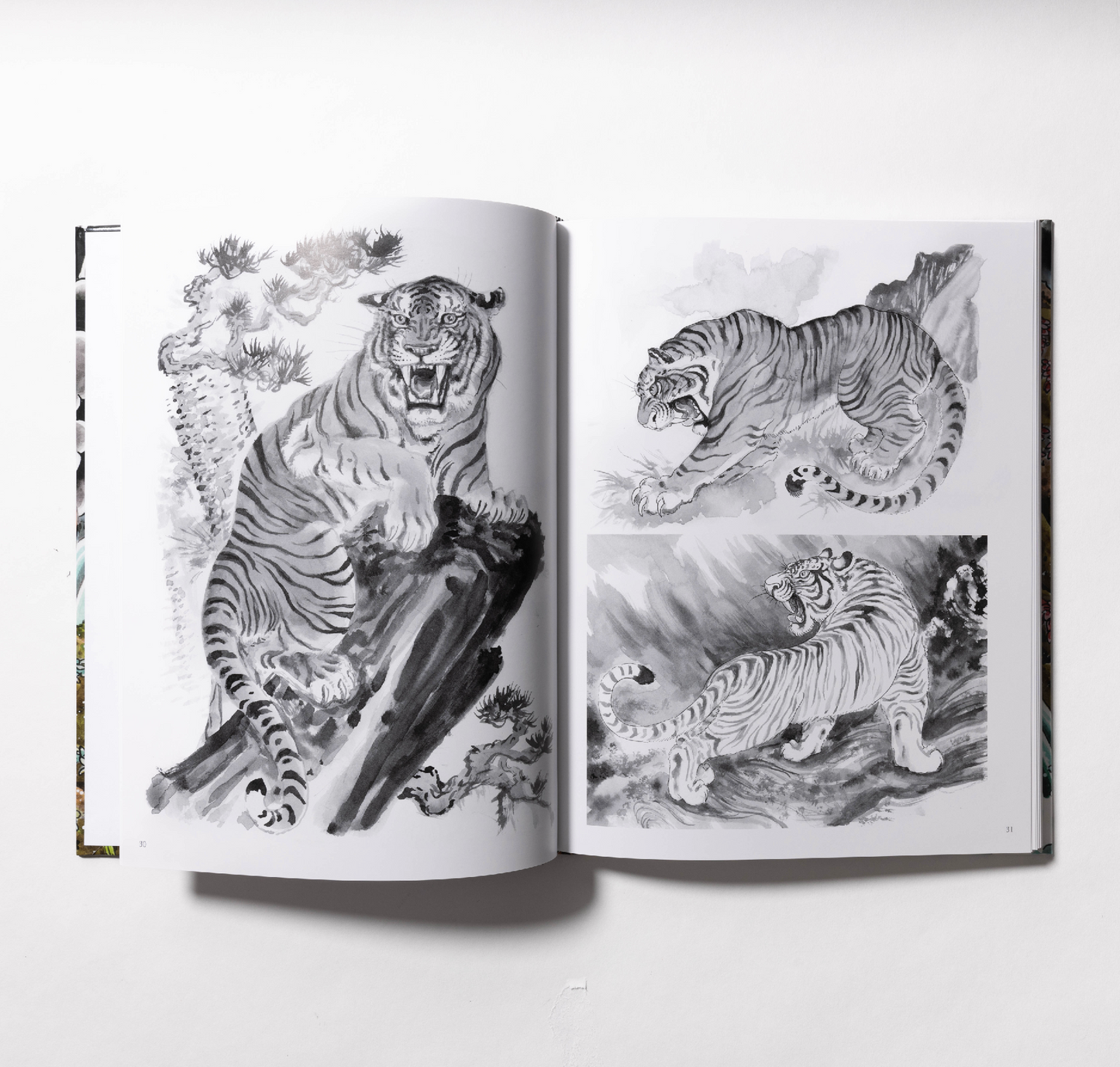 The Tiger Book by Tim Lehi