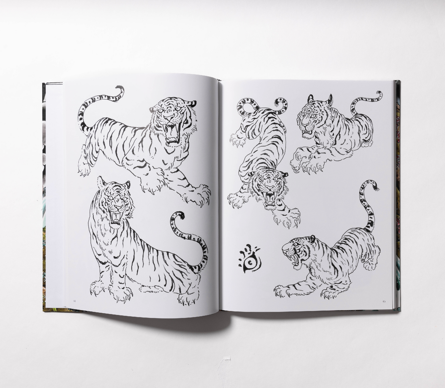 The Tiger Book by Tim Lehi