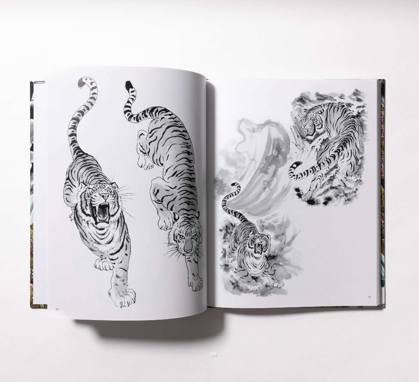 The Tiger Book by Tim Lehi