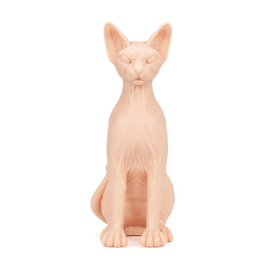 Tattooable Naked Cat
